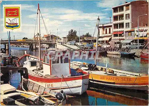 Moderne Karte Palavas les Flots Herault La Rive gauche et le Pont