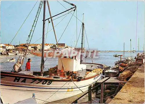 Cartes postales moderne Bateaux de peche a l'embrouchure de l'Herault Au fond Le Quai du Grau