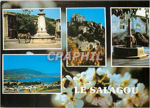 Moderne Karte Lumiere et Couleurs de l'Herault La lac du Salagou et ses environs