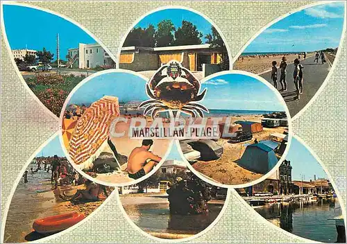 Cartes postales moderne Marseillan Plage Herault Paradis des vacances au bord de la Mediterranee