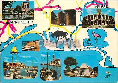 Cartes postales moderne Montpellier Souvenir Regional