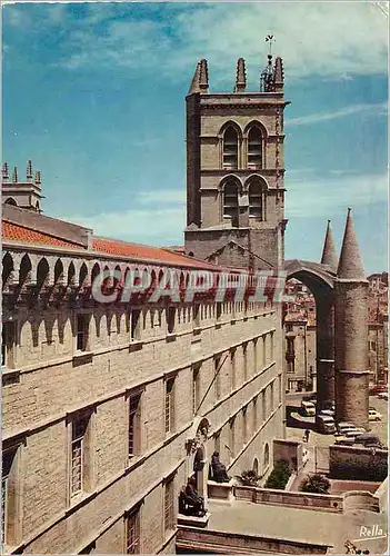 Cartes postales moderne Montpellier Herault La Faculte de Medecine ancienne collegiale fondee par le Pape Urbain V