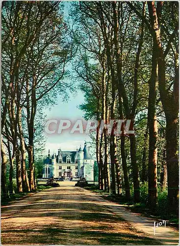 Cartes postales moderne Val de Loire Chenonceaux Magnifique allee conduisant au Chateau