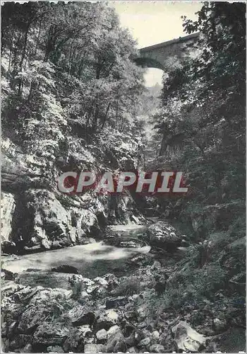 Cartes postales moderne Monastere de la Grande Chartreuse Route de la Grande Chartreuse Le Pont Saint Bruno