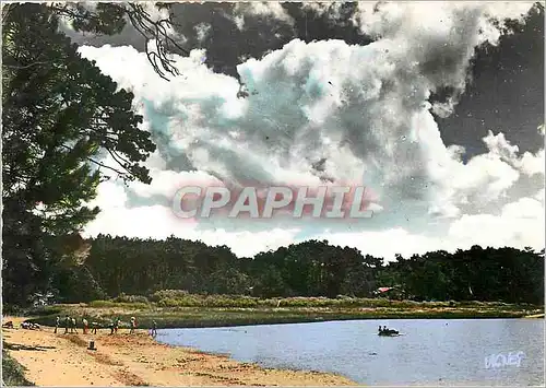 Moderne Karte Visage des Landes Sous le beau ciel des Landes