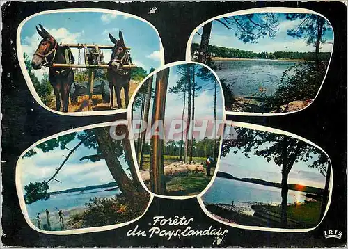 Moderne Karte Lacs et Forets du Pays Landais