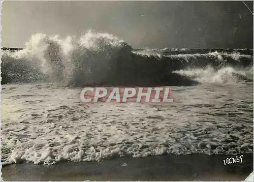 Cartes postales moderne Visage des Landes Cote d'Argent Landaise Vagues sur l'Ocean