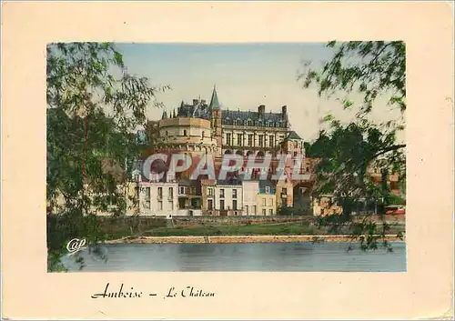 Cartes postales moderne Amboise Le Chateau