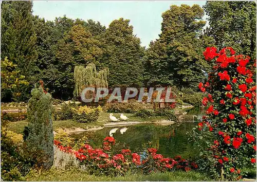 Cartes postales moderne Le Coteau Loire Parc Becot