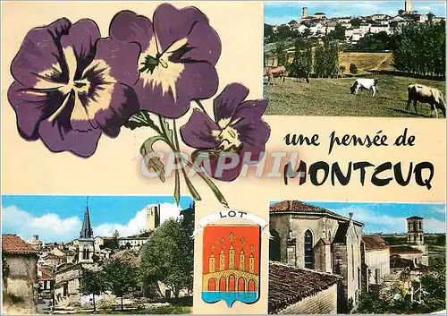 Cartes postales moderne Montcl'q Lot Vue generale Le Centre Le Couvert et l'Eglise