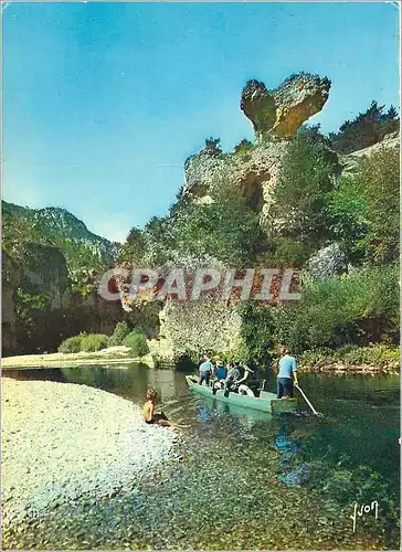 Cartes postales moderne Les Gorges du Tarn Lozere Le Champignon