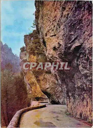 Cartes postales moderne Les Gorges du Tarn Pres du Cirque des Baumes l'encorbeillement
