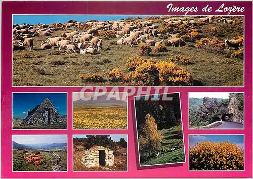 Cartes postales moderne Images de Lozere