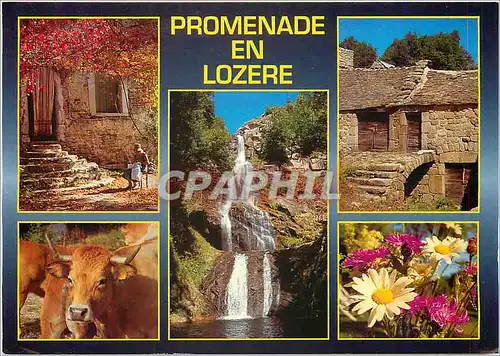 Cartes postales moderne Promenade en Lozere