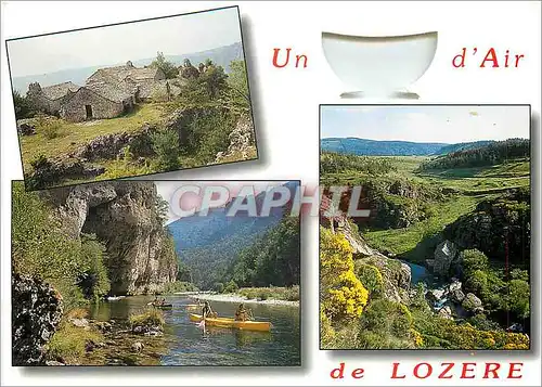 Cartes postales moderne Un d'air de Lozere