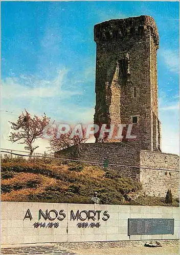 Cartes postales moderne Le Haye du Puits Manche Le Donjon