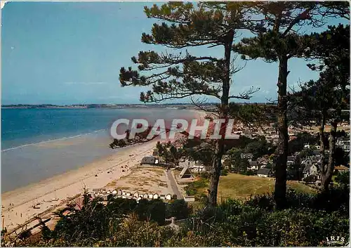 Cartes postales moderne Carolles Vue generale a travers les Pins