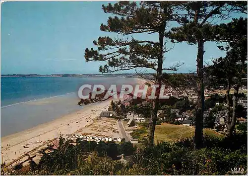 Cartes postales moderne Carolles Vue generale a travers les Pins