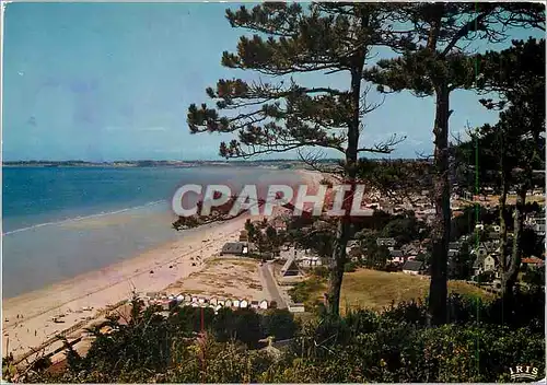 Cartes postales moderne Carolles Vue generale a travers les Pins