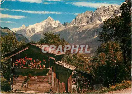 Cartes postales moderne Massif du Mont Blanc Le petit chalet aux geraniums et l'Aiguille du Dru