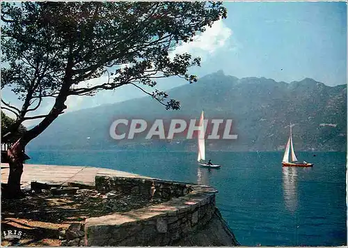 Cartes postales moderne Aix les Bains Lac du Bourget et Panorama sur la Dent du Chat