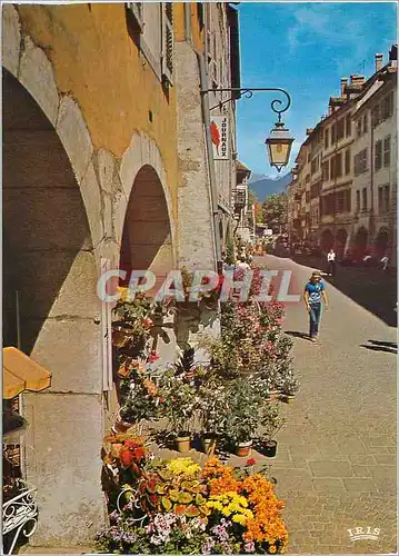 Moderne Karte Annecy Haute Savoie Ville fleurie Zone pietonne dans la rue du Paquier