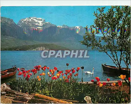 Cartes postales moderne La Tournette et le Lac d'Annecy