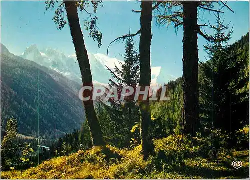 Cartes postales moderne Chamonix Mont Blanc Massif du Mont Blanc et de Trelechamp