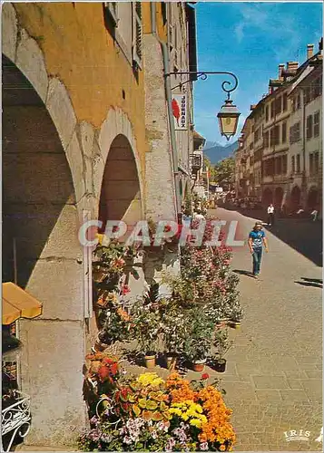 Moderne Karte Annecy Haute Savoie Ville fleurie Zone pietonne fans la rue du Paquier