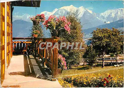 Cartes postales moderne Les Alpes Francaises Chalet Fleuri face au majestueux Massif du Mont Blanc