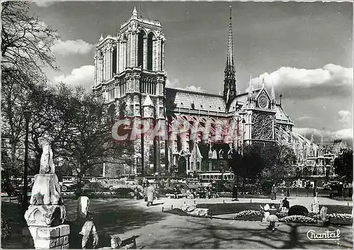 Cartes postales moderne Paris Notre Dame et Squaire Viviani