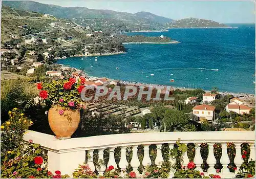 Cartes postales moderne Environs du Lavandou Saint Clair Var Vue generale Au fond Pointe de la Fossette et Cap Negre