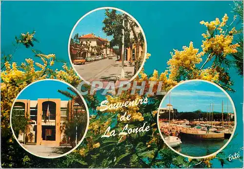 Cartes postales moderne Cote d'Azur La Londe les Maures La mairie les ecoles le port