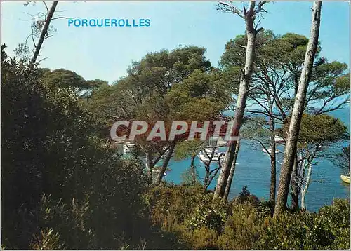 Cartes postales moderne L'une des trois iles d'or Porquerolles La crique de l'Alycastre avec ses bateaux