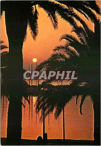 Cartes postales moderne Coucher de soleil sur la Mediterranee