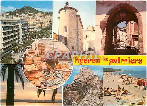 Cartes postales moderne Lumiere et Beaute de la Cote d'Azur Hyeres les Palmiers