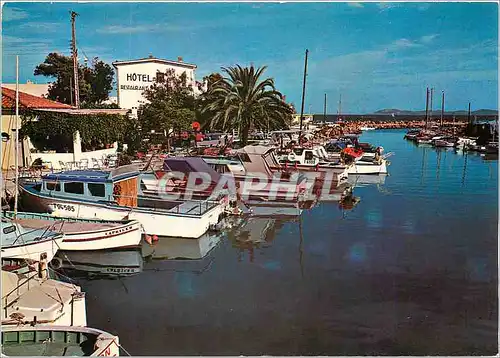 Cartes postales moderne Hyeres L'Aygade