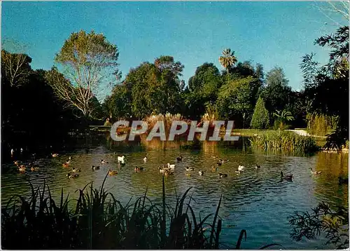 Moderne Karte La Cote d'Azur Varoise Hyeres les Palmiers Jardins Olbius Riquier