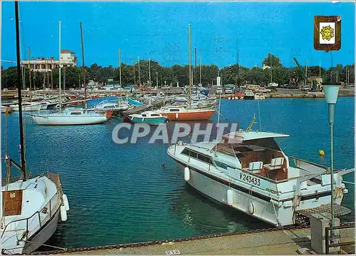 Cartes postales moderne La Londe des Maures Le port