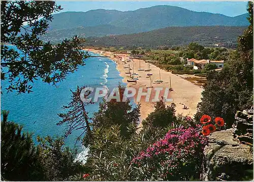Cartes postales moderne Paysage typique en bord de Mediterranee Croix Valmer Var La plage de la Croix