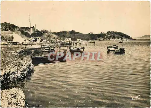 Cartes postales moderne Ciens Var Port de la Madrague