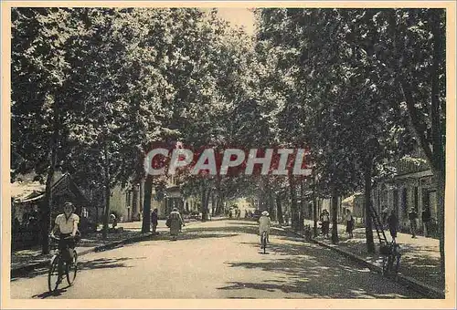 Cartes postales moderne Draguignan Boulevard Georges Clemenceau L'Esplanade