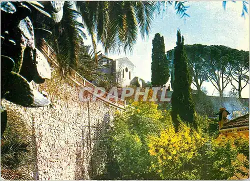 Cartes postales moderne Bormes les Mimosas La Chapelle St Francois