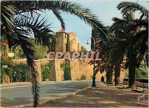 Cartes postales moderne La Cote d'Azur miracle de la nature Bormes les Mimosas Var Les Remparts et la Chapelle Saint Fra