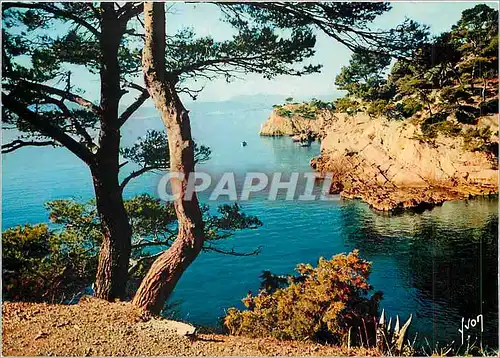 Cartes postales moderne Toulon Var Le Cap Brun