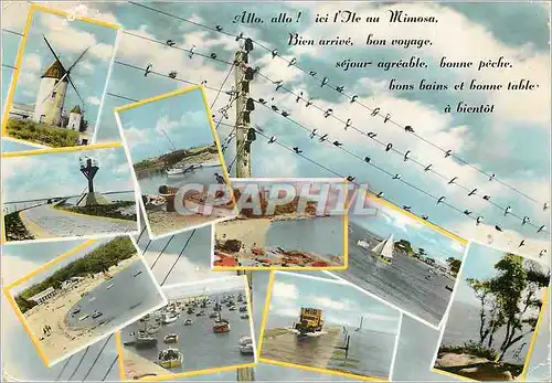 Cartes postales moderne Noirmoutier Vendee