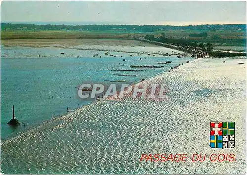 Cartes postales moderne Passage du Gois Vendee