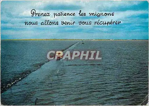 Cartes postales moderne Ile de Noirmoutier Vendee Le passage du Gois