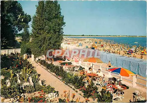 Cartes postales moderne La Tranche sur Mer Vendee La Plage vues des jardins de l'Hotel de l'Ocean