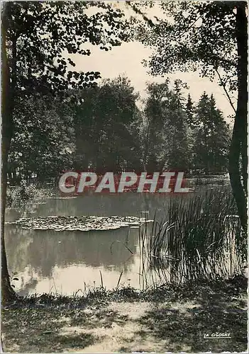 Cartes postales moderne Vittel L'Etang des Fees
